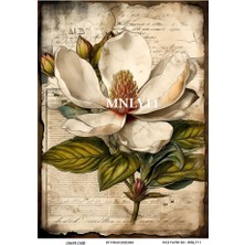 Manolya Serisi MNLY11 Manolya, Çiçek Desenli 30*42 cm Pirinç Dekopaj