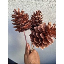 Bakır 3 Lü Kozalak