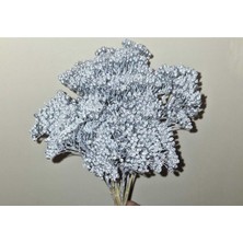 Civan Perçemi Gümüş Rengi 10 Dal (Kuru Çiçek)