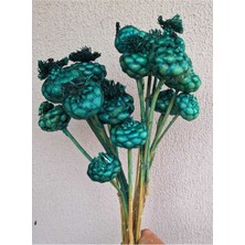 Cam Göbeği Rengi Tropik Kuru Çiçek 10 Adet