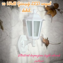 10 W. Günışığı LED Ampullü, Dekoratif Bahçe, Balkon, Teras, Kapı Giriş Apliği, Bahçe Duvar Armatürü