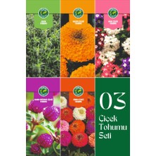 03 Çiçek Tohumu Seti 5'li Set