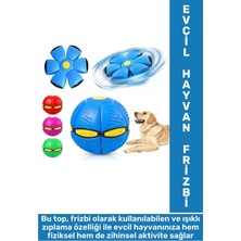 Eğlenceli Interaktif Fiziksel Zihinsel Gelişim Işıklı Zıplayan Frizbi Kedi Köpek Evcil Hayvan Topu