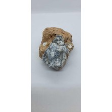 Dentritli Opal Koleksiyonluk Doğaltaş