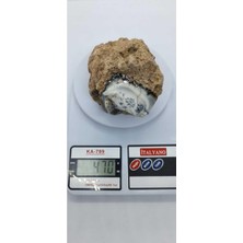 Dentritli Opal Koleksiyonluk Doğaltaş