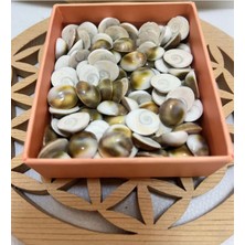 Yılancık Taşı 9 Adet (1 Adet Yavru Hediyeli)