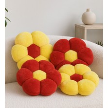 Pabtex 4'lü Papatya Dekoratif Peluş Yastık Minder Kırlent