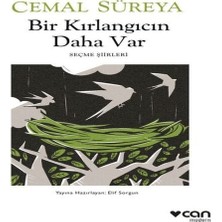 Bir Kırlangıcın Daha Var