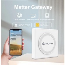 Zigbee Kablolu Ağ Geçidi Gateway - Matter - Apple Ev Destekli