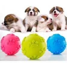 Köpek Isırma Topu Pati Desenli