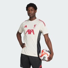 Adidas Liverpool Fc Tiro 25 Competition Training Erkek Forma