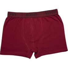 Kota 1000 Erkek Likralı Renkli Boxer