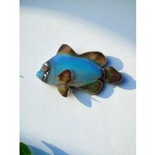 El Yapımı Dekoratif Renkli Duvar Süsü Balık Deniz ve Doğa Temalı Duvar Süsü Ev, Ofis, Restoran ve Yazlık Dekorasyon Duvar Aksesuarı