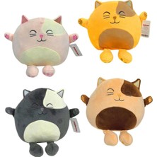 Seçtim Aldım Pelüş Yastık Tombik Kedi 35 cm