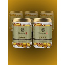 2 Adet Gimneya Özlü Kapsül Gurmar Özlü Omega3 Içeren Soft Jel Kapsül 30ADET x 2 Kutu