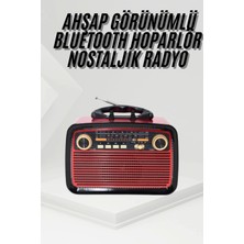 Buğz Nostalji Radyo Bluetooth Hoparlör Usb-Sd Kart Giriş LED Fener Işıklı Bataryalı Pilli