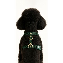 The Tailor H Tipi Pla Klips Köpek Göğüs Tasması Tasma