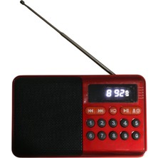 Technozi Wireless Radio+Hoparlör Usb - Kart Okuyuculu Oto Kapanma Digital Ekran Radio