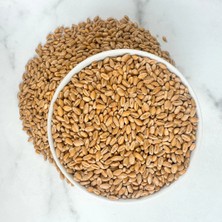 Doğal, Ilaçsız, Yemlik Buğday Tohumu, 3 Kilogram (Tavuk, Güvercin, Hindi, Ördek Vb.)