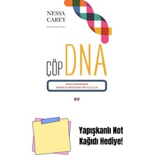 Çöp Dna + Yapışkanlı Not Kağıdı