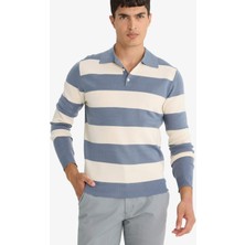 DeFacto Standart Fit Polo Yaka Düğmeli Renk Bloklu Triko Kazak Y4194AZ25WN