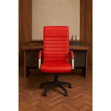 Staryo Bilgisayar Koltuğu – Ergonomik Bel Destekli, Ayarlanabilir Yükseklikli, Sessiz Tekerlekli