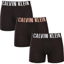Calvın Kleın  Erkek 3 Lü Boxer NB3609A-VVN