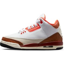 Nike Air Jordan 3 DV7028-108