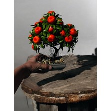 Dekoratif Mini Limon Ağacı Yapay Limon Ağacı Meyveli Limon Ağacı, Mandalina  Ağacı,  Turunç  Ağacı