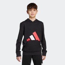 Adidas Sportswear JY0301 Essentials Hoodie Kids