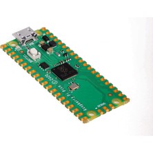 Raspberry Pi Pıco RP2040