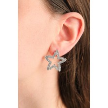 Silver Zirkon Taşlı Yıldız Şekilli Küpe