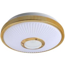Powermaster PM-27332 Beyaz 34*8.5 cm 24 Watt Bluetooth Hoparlörlü Tavan Aydınlatma (AL-BL300) Tornavida Hediyeli