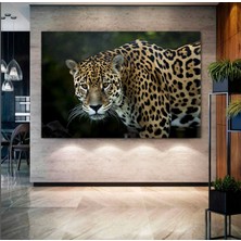 At Duvar Sanatı, Yağmurda Koşan Atlar, Yaratıcı Duvar Sanatı, Yaban Hayvanları Tablosu