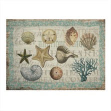 Bedeko Deniz Kabukları Dekoratif Ahşap Tablo 50 cm x 70 cm