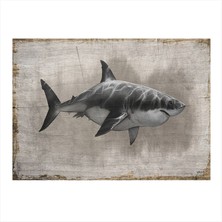 Bedeko Köpekbalığı Dekoratif Mdf Tablo 50 cm x 70 cm