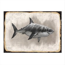 Bedeko Köpekbalığı Model Ahşap Tablo 50 cm x 70 cm