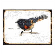 Bedeko Sevimli Kuş Dekoratif Ahşap Tablo 50 cm x 70 cm