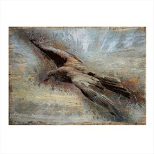 Bedeko Uçan Kartal Hediyelik Mdf Tablo 35 cm x 50 cm