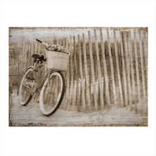 Bedeko Bisiklet ve Çiçek Hediyelik Mdf Tablo 35 cm x 50 cm