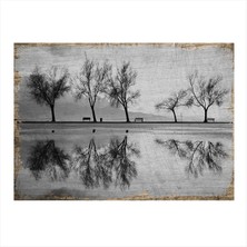 Bedeko Siyah Beyaz Manzara Mdf Tablo 35 cm x 50 cm