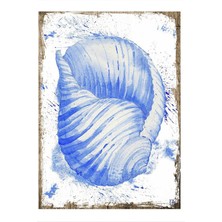 Bedeko Mavi Deniz Kabuğu Model Ahşap Tablo 35 cm x 50 cm