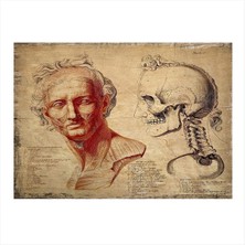 Bedeko Yüz Anatomisi Desenli Ahşap Tablo 35 cm x 50 cm