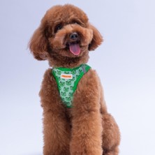 Frog Air-Mesh Göğüs Tasması Kedi Köpek Göğüs Tasması Kurbağa Desenli Köpek Tasması