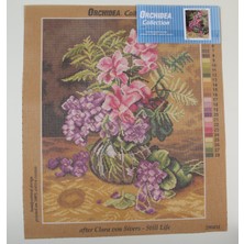 Orchidea Goblen 2904M 40X50