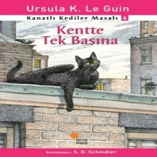 Kanatlı Kediler Masalı 4 - Kentte Tek Başına