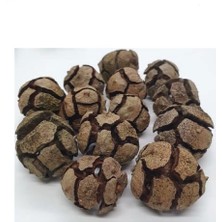 Medite SERVİ KOZALAĞI 250 GR