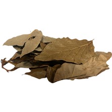 Medite AVOKADO YAPRAĞI 50 GR