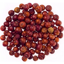 Medite ARDIÇ TOHUMU DOĞAL (JUNIPERUSCOMMUNISL.)50 GR