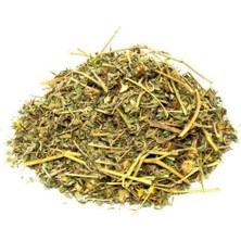 Medite Demir Dikeni Otu 100 gr